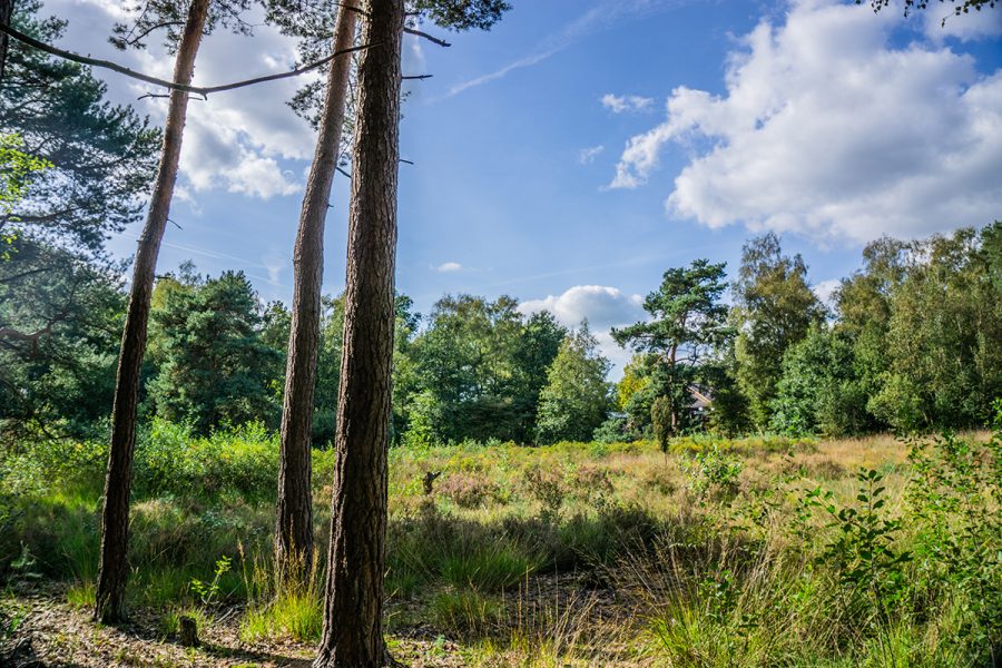 Het coronavirus: maatregelen bij Nivon