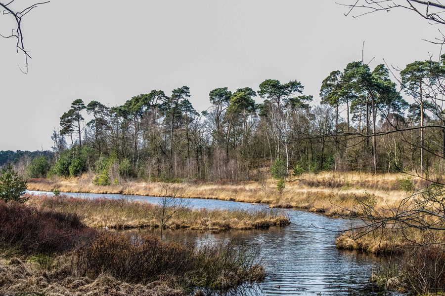 #Rondjelopen op het Brabants Vennenpad