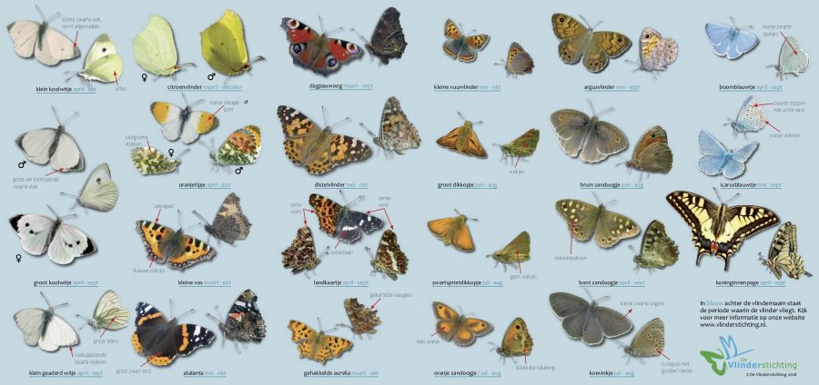 Steun aan De Vlinderstichting na bedreiging onderzoeker