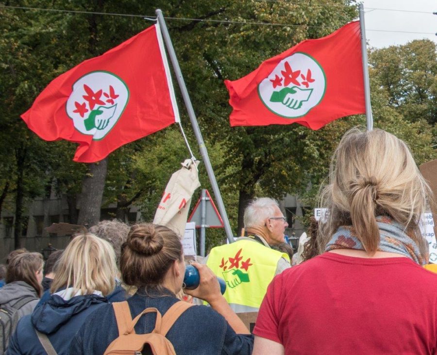 Klimaatwandeling in de Biesbosch