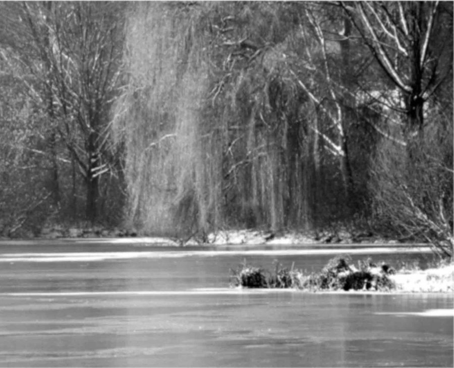 In Memoriam Rein de Graaff