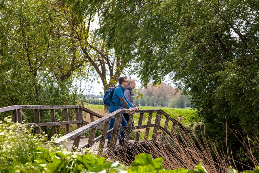 Nieuw Streekpad Biesboschpad