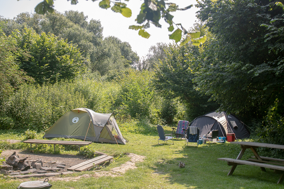 Nivon Kamperen In De Biesbosch De Kleine Rug Nivon
