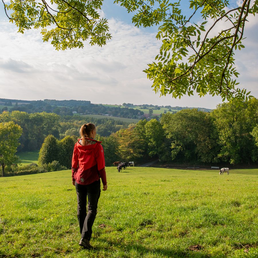 Eikhold als uitvalsbasis Dutch Mountain Trail