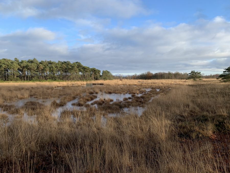 Nieuw: Stellingenpadgids