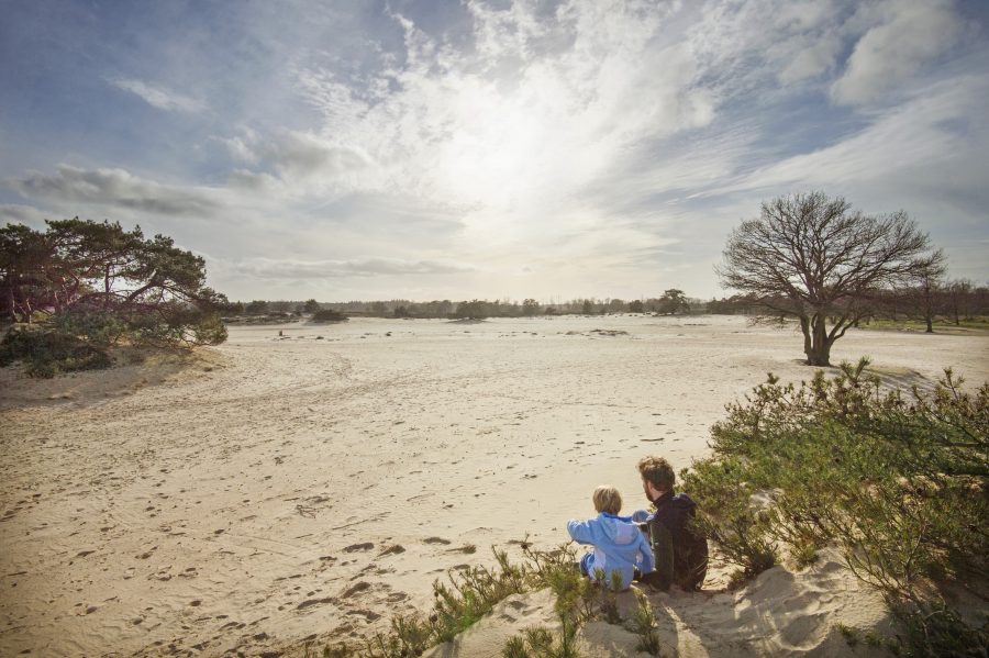 Stellingenpad Wandelroute van het Jaar