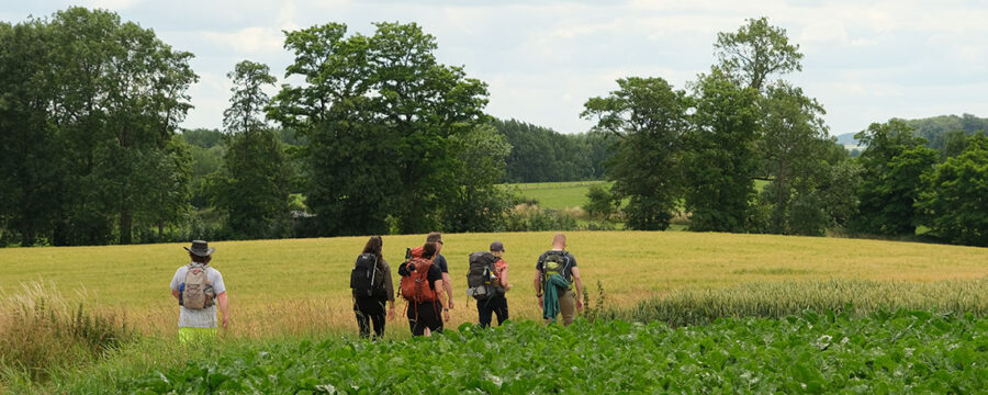 Nieuwe reisgroep Salto