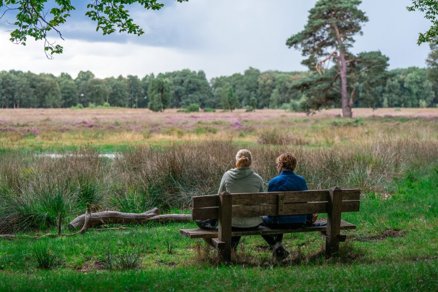 Gloednieuwe Drenthepad wandelgids; jubileum editie in het jaar dat het pad 50 jaar bestaat