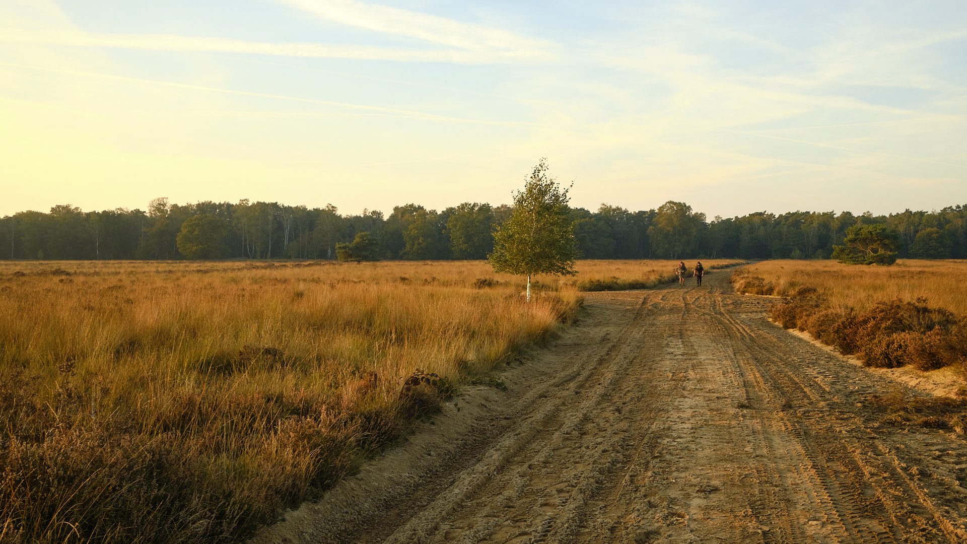 Nivon Herfst 2021_Xtra Veluwe_DSCF3409_Online