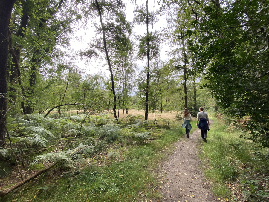 Vacature padcoördinator Stellingenpad