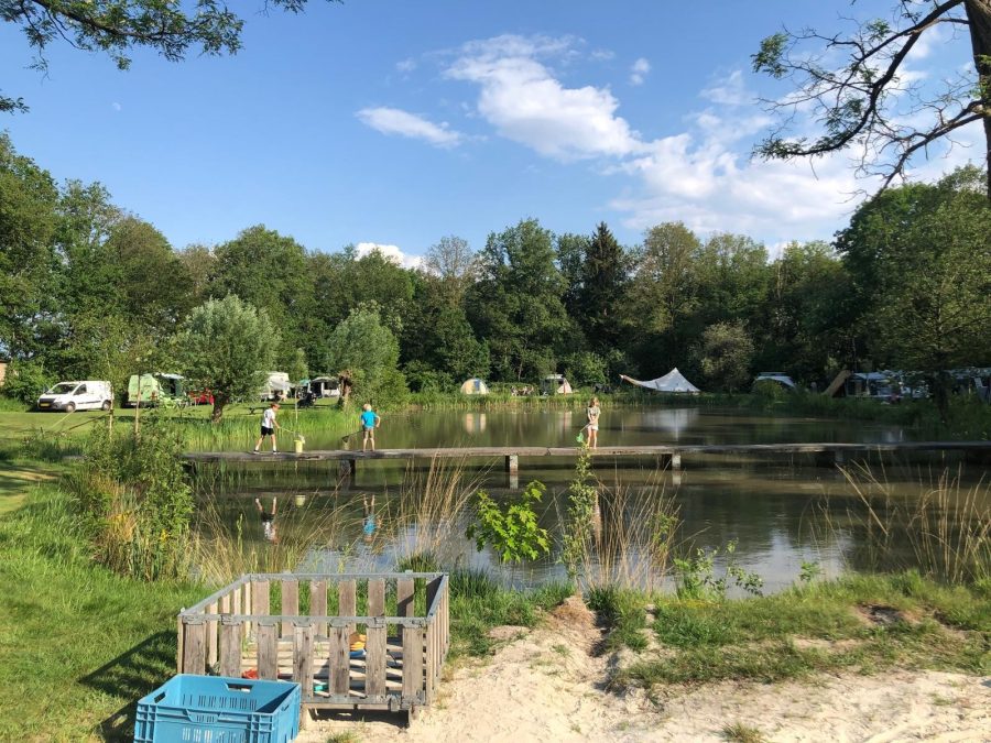 Vrijwilligerscoördinator de Meenthe