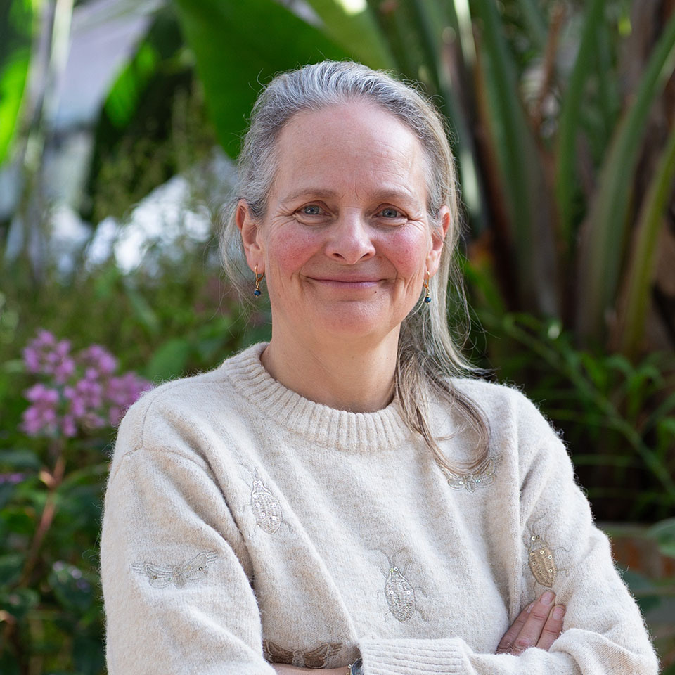 Suzanne (Bas Wetter)