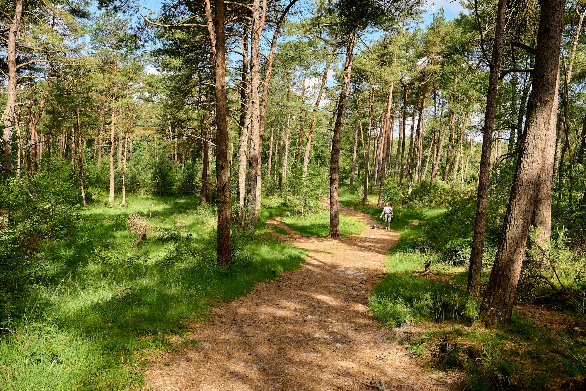 Koos Vorrinkhuis trektocht